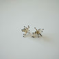MoJone Stylish Original Firework Silver Earrings and Clips for Female, Fashion Accessory
