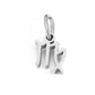 Zodiac Constellation Stainless Steel Pendant