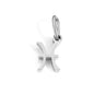 Zodiac Constellation Stainless Steel Pendant